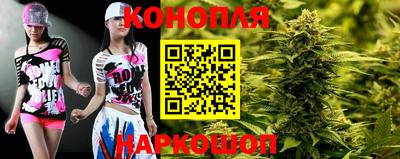 дмт Камышлов