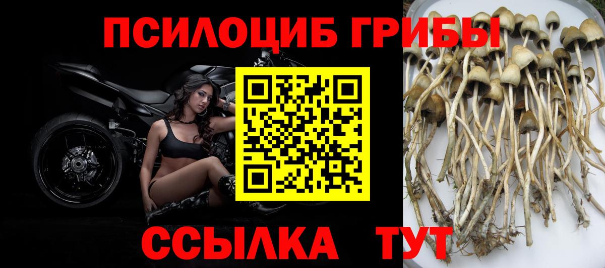 Псилоцибиновые грибы ЛСД Лабинск